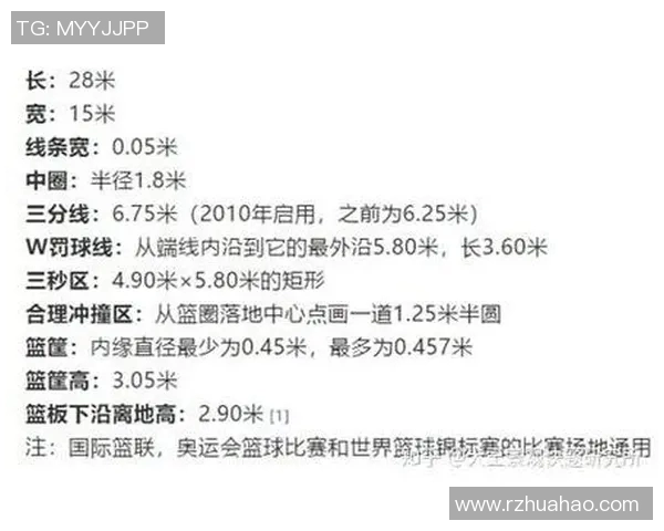 独家解析北京足球队各球员速度差异及战术影响分析